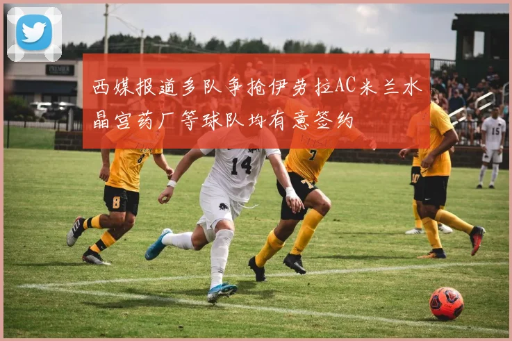 西媒报道多队争抢伊劳拉AC米兰水晶宫药厂等球队均有意签约