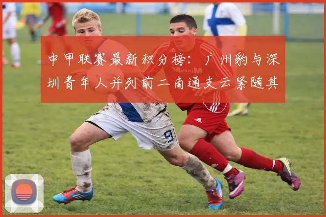 中甲联赛最新积分榜：广州豹与深圳青年人并列前二南通支云紧随其后